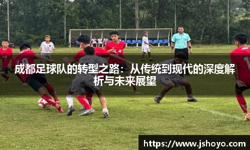 成都足球队的转型之路：从传统到现代的深度解析与未来展望