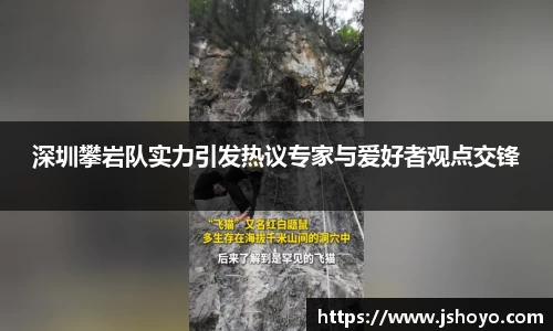 乐竞体育网址